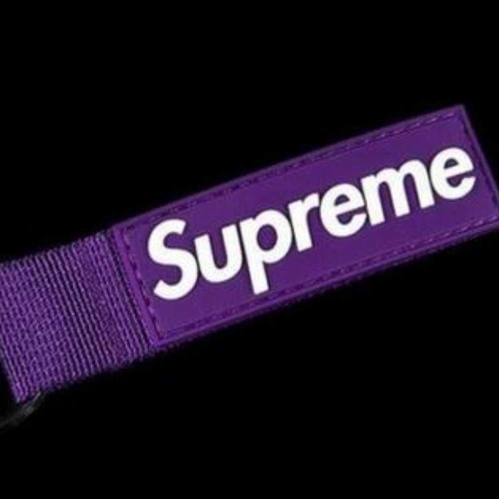 SUPREME Purple Webbing Keychain Box Logo SS FW 20